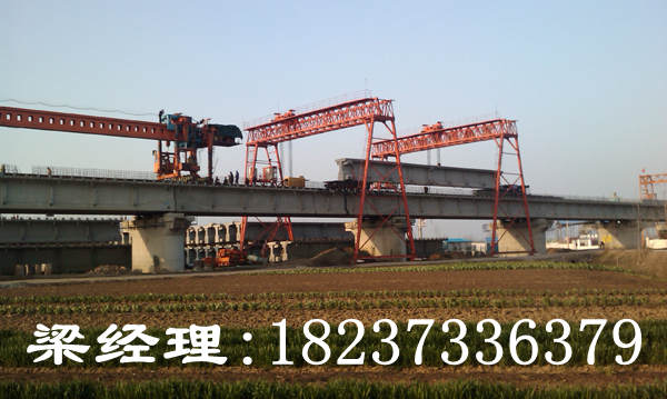 陜西西安龍門吊廠家品質(zhì)贏市場