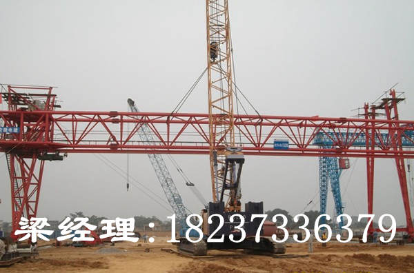 廣東廣州門式起重機(jī)廠家質(zhì)量過硬放心品牌