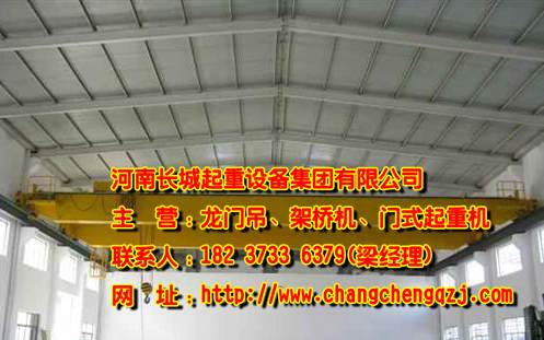 福建漳州雙梁門(mén)式起重機(jī)廠(chǎng)家介紹事故原因及預(yù)