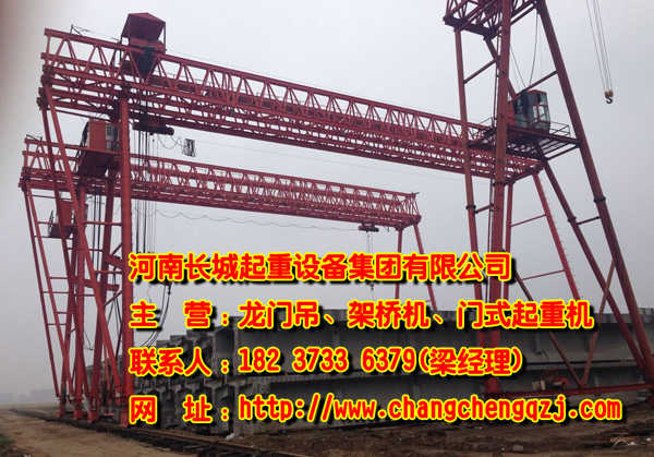 河北廊坊龍門吊公司專業引領市場