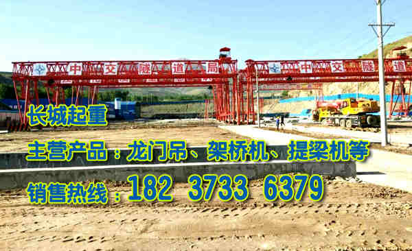 福建福州門式起重機廠家