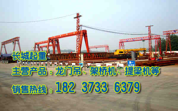 湖南長沙門式起重機廠家單軌龍門吊安裝