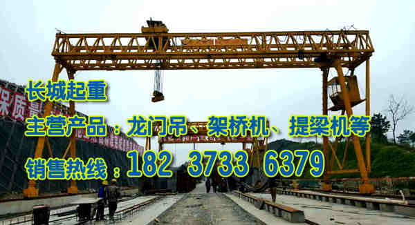 天津門式起重機(jī)廠家
