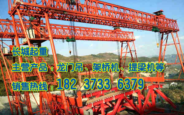 河北滄州龍門吊廠家安全保護系統(tǒng)