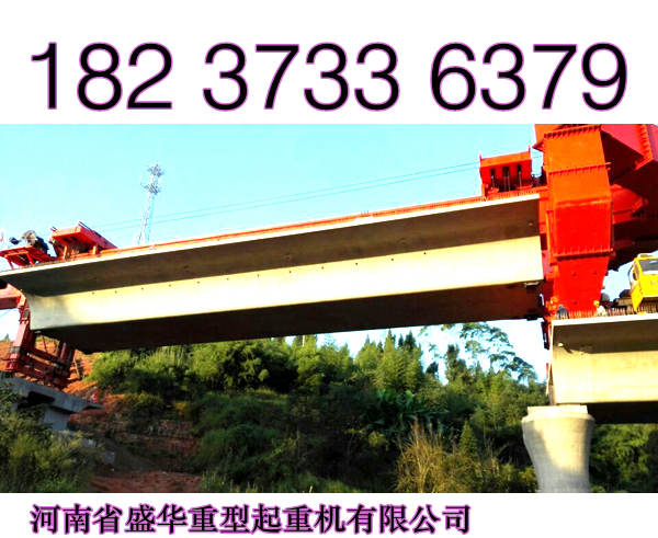 四川綿陽(yáng)龍門(mén)吊廠家卓越商譽(yù)