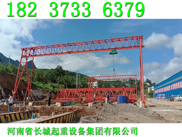 四川廣元龍門吊廠家高端自動(dòng)化起重機(jī)